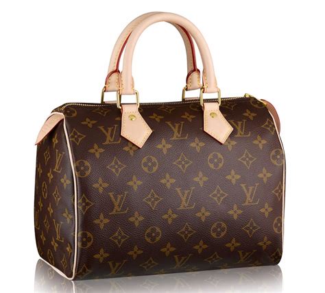 louis vuitton speedy price ireland|louis vuitton speedy 30 women.